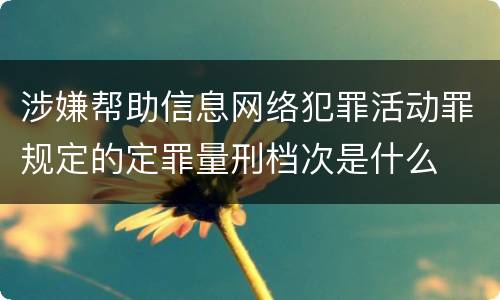 涉嫌帮助信息网络犯罪活动罪规定的定罪量刑档次是什么