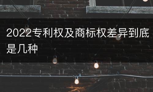 2022专利权及商标权差异到底是几种