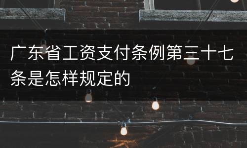 广东省工资支付条例第三十七条是怎样规定的