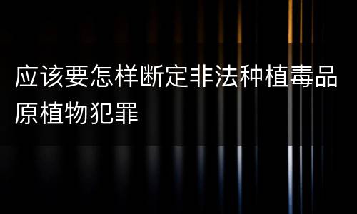 应该要怎样断定非法种植毒品原植物犯罪