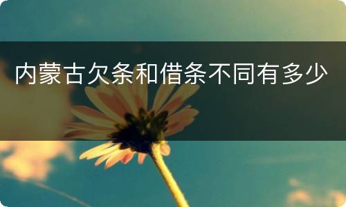 内蒙古欠条和借条不同有多少