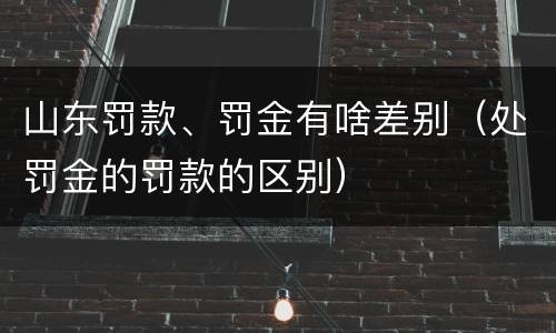山东罚款、罚金有啥差别（处罚金的罚款的区别）
