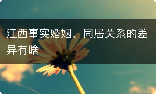 江西事实婚姻、同居关系的差异有啥