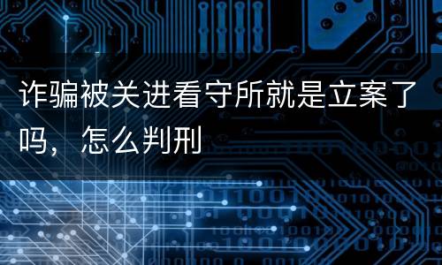 诈骗被关进看守所就是立案了吗，怎么判刑
