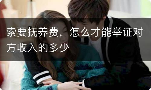 索要抚养费，怎么才能举证对方收入的多少