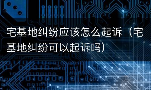 宅基地纠纷应该怎么起诉（宅基地纠纷可以起诉吗）