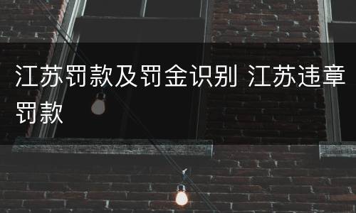 江苏罚款及罚金识别 江苏违章罚款
