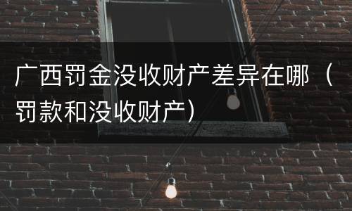 广西罚金没收财产差异在哪（罚款和没收财产）