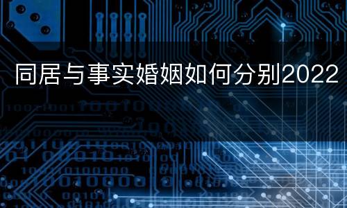 同居与事实婚姻如何分别2022
