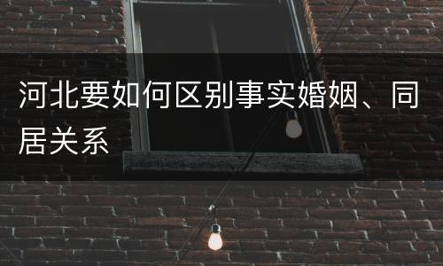 河北要如何区别事实婚姻、同居关系