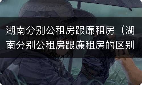 湖南分别公租房跟廉租房（湖南分别公租房跟廉租房的区别）