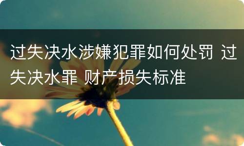 过失决水涉嫌犯罪如何处罚 过失决水罪 财产损失标准