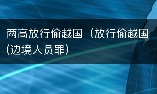 两高放行偷越国（放行偷越国(边境人员罪）