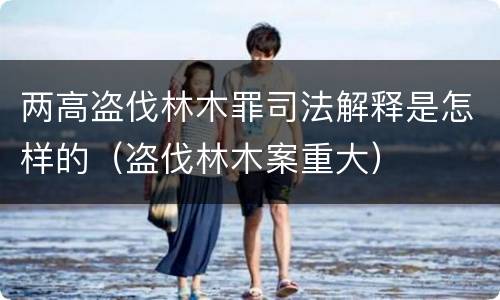 两高盗伐林木罪司法解释是怎样的（盗伐林木案重大）