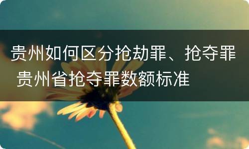 贵州如何区分抢劫罪、抢夺罪 贵州省抢夺罪数额标准