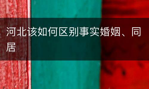 河北该如何区别事实婚姻、同居