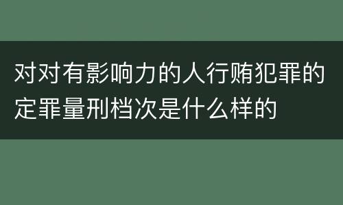 对对有影响力的人行贿犯罪的定罪量刑档次是什么样的