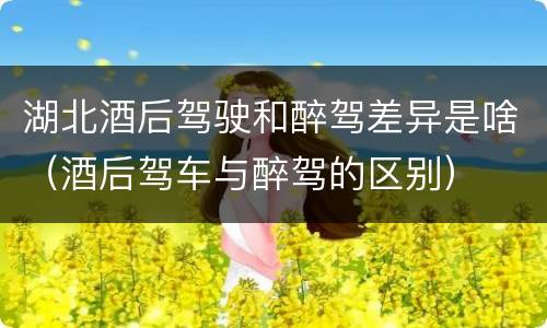 湖北酒后驾驶和醉驾差异是啥（酒后驾车与醉驾的区别）