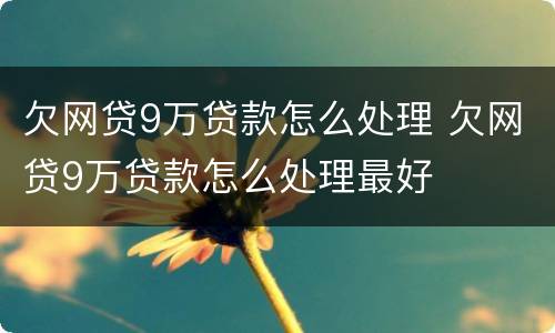 欠网贷9万贷款怎么处理 欠网贷9万贷款怎么处理最好