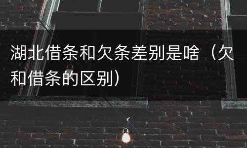 湖北借条和欠条差别是啥（欠和借条的区别）