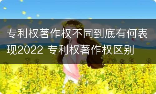 专利权著作权不同到底有何表现2022 专利权著作权区别