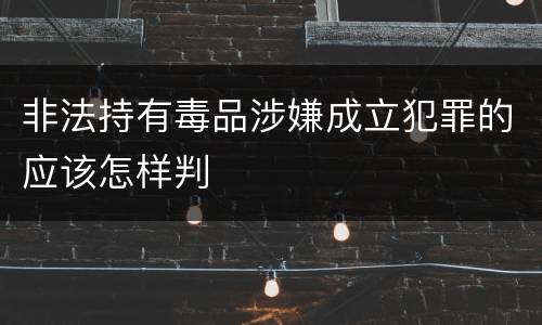 非法持有毒品涉嫌成立犯罪的应该怎样判