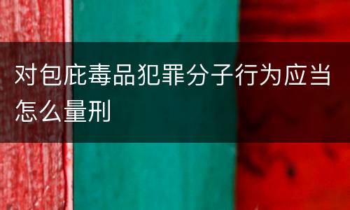 对包庇毒品犯罪分子行为应当怎么量刑