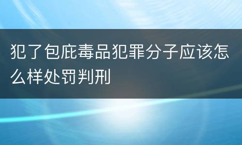 犯了包庇毒品犯罪分子应该怎么样处罚判刑