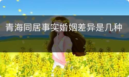 青海同居事实婚姻差异是几种