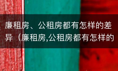 廉租房、公租房都有怎样的差异（廉租房,公租房都有怎样的差异和不足）