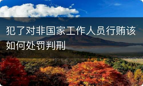 犯了对非国家工作人员行贿该如何处罚判刑