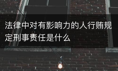 法律中对有影响力的人行贿规定刑事责任是什么