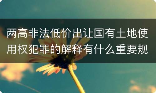 两高非法低价出让国有土地使用权犯罪的解释有什么重要规定