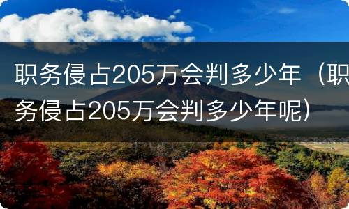 职务侵占205万会判多少年（职务侵占205万会判多少年呢）