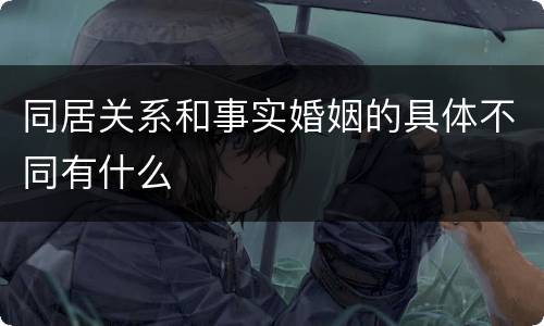 同居关系和事实婚姻的具体不同有什么