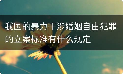 我国的暴力干涉婚姻自由犯罪的立案标准有什么规定