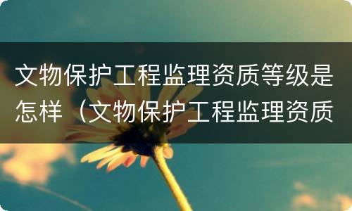 文物保护工程监理资质等级是怎样（文物保护工程监理资质等级是怎样的）