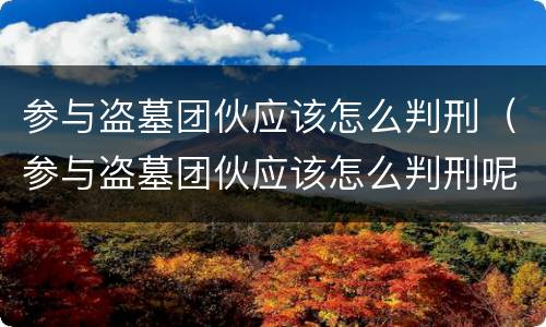 参与盗墓团伙应该怎么判刑（参与盗墓团伙应该怎么判刑呢）