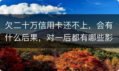 欠二十万信用卡还不上，会有什么后果，对一后都有哪些影响