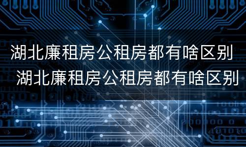 湖北廉租房公租房都有啥区别 湖北廉租房公租房都有啥区别啊