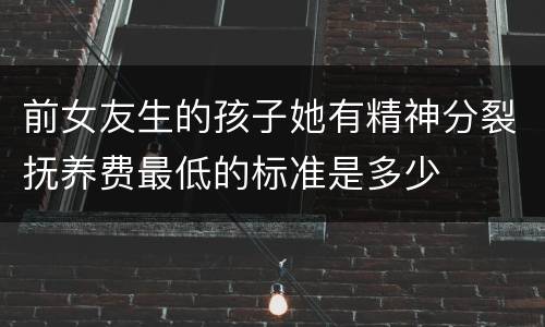 前女友生的孩子她有精神分裂抚养费最低的标准是多少
