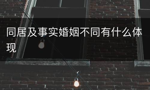 同居及事实婚姻不同有什么体现