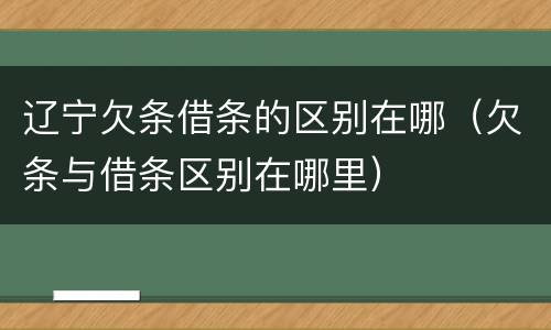 辽宁欠条借条的区别在哪（欠条与借条区别在哪里）