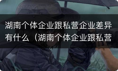 湖南个体企业跟私营企业差异有什么（湖南个体企业跟私营企业差异有什么区别）