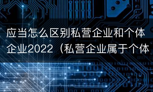 应当怎么区别私营企业和个体企业2022（私营企业属于个体经营吗）