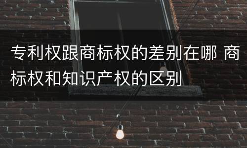专利权跟商标权的差别在哪 商标权和知识产权的区别