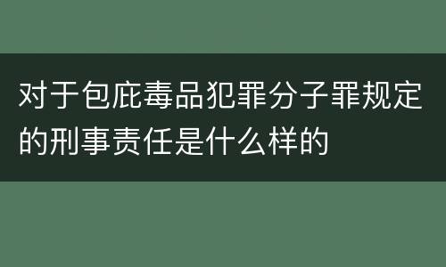对于包庇毒品犯罪分子罪规定的刑事责任是什么样的