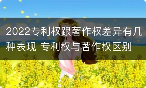 2022专利权跟著作权差异有几种表现 专利权与著作权区别