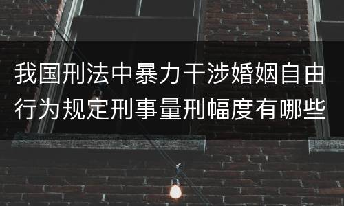 我国刑法中暴力干涉婚姻自由行为规定刑事量刑幅度有哪些