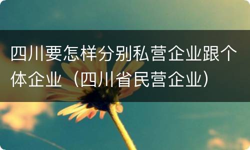 四川要怎样分别私营企业跟个体企业（四川省民营企业）